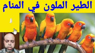 تفسير حلم رؤية الطيور الملونة في المنام لابن سيرين | @qanaat_tafsir_alahlam_Mahmoud