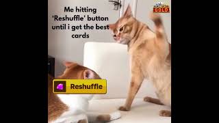 Send it to that player 😆🤣 #rummy #poker #catmeme #cat #catmemes