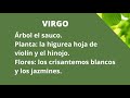 PLANTA DE PROTECCON SEGÚN TU DEL SIGNO ZODIACO