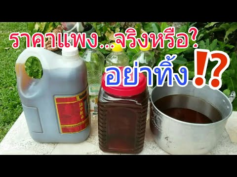ซื้อ-ขายน้ำมันพืชเก่าใช้แล้ว | จุดรับซื้อน้ำมันเก่าใช้แล้ว | ราคาซื้อขายน้ำมันเก่าใช้แล้ว