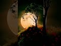 Emotional Music For Background Sound Emotional Backgroundmusic Viral Shorts Emotional Music For Background Sound Emotional Backgroundmusic Viral Shorts