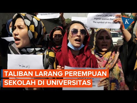 Perempuan Afghanistan Turun ke Jalan untuk Protes soal Larangan Berkuliah