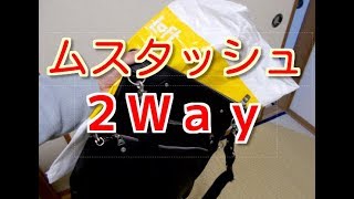 バッグ紹介Loftで買うMOUSTACHE２Ｗａｙが便利で良いね