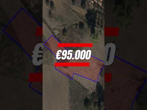 4 Agricultural Plots