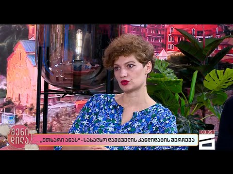 ბაია პატარაია და ედო მარიკაშვილი სახალხო დამცველის კანდიდატის შერჩევის პროცესის შესახებ (ვიდეო)