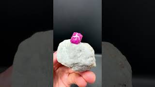 Ruby on Matrix from Pakistan | Fine Art Minerals | Ruby |