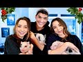 ADORABLE PIGLETS Surprise On Merrell Twins!