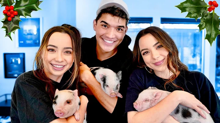 ADORABLE PIGLETS Surprise On Merrell Twins!