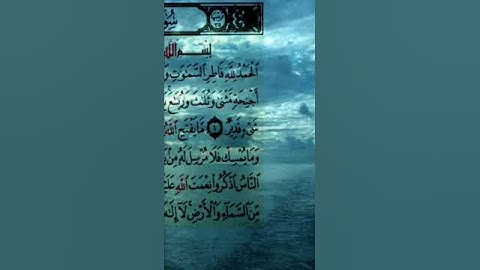 ماتيسر من القرآن الكريم #تلاوة_خاشعة #اكسبلور #القرآن #المصحف #لايك #اليمن