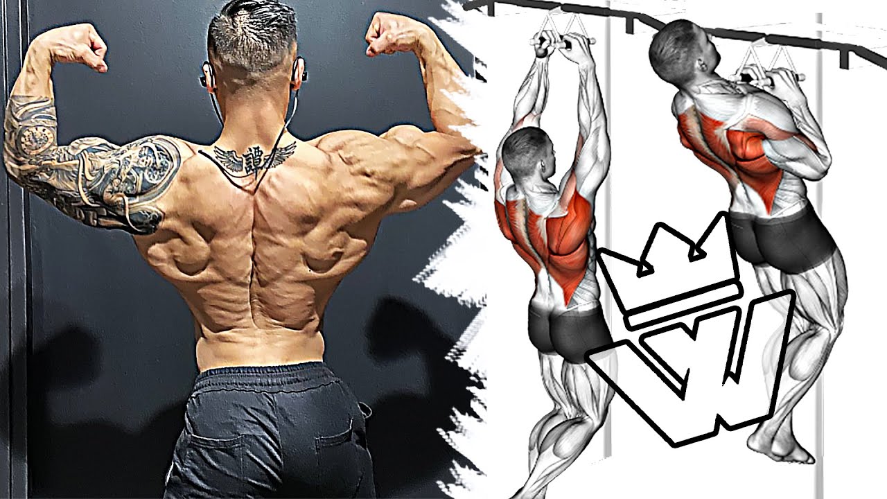 The Best Exercises for Wide Back! 