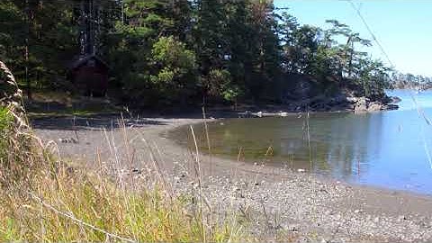 Relaxing Video Of a Quiet Bay for Relieving Stress in 4K