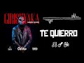 Gabiro guitar  te quierro official lyric