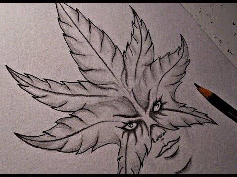 weed pencil drawing