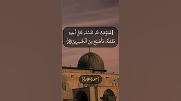 سورة المائدة الآية ٢٩ الى ٣١ بصوت الشيخ محمد صديق المنشاوي