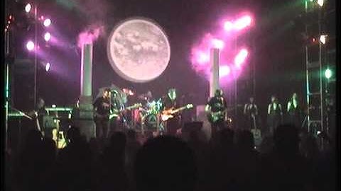 TIME MACHINE PINK FLOYD TRIBUTE - PIGS