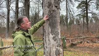 Domein HERTBERG anno 2026