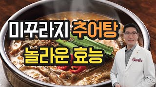 미꾸라지 추어탕 - 놀라운 효능 - 바로 이것 입니다