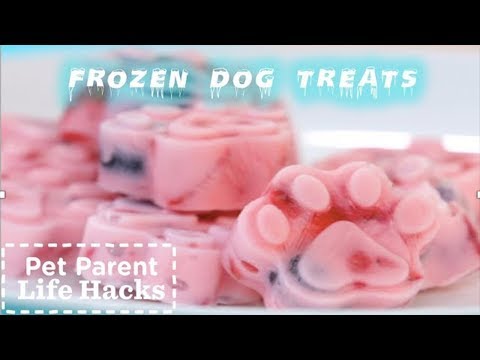 how-to-make-fun-frozen-dog-treats-your-pup-will-love-|-the-dodo