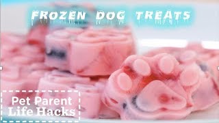 How To Make Fun Frozen Dog Treats Your Pup Will LOVE | The Dodo