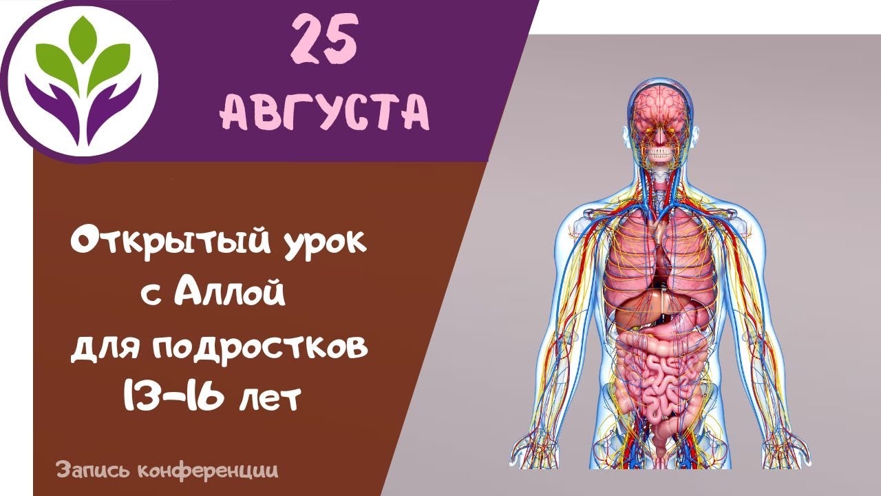 «Погружение в биологию» 8-9 класс «Погружение в биологию» 8-9 класс