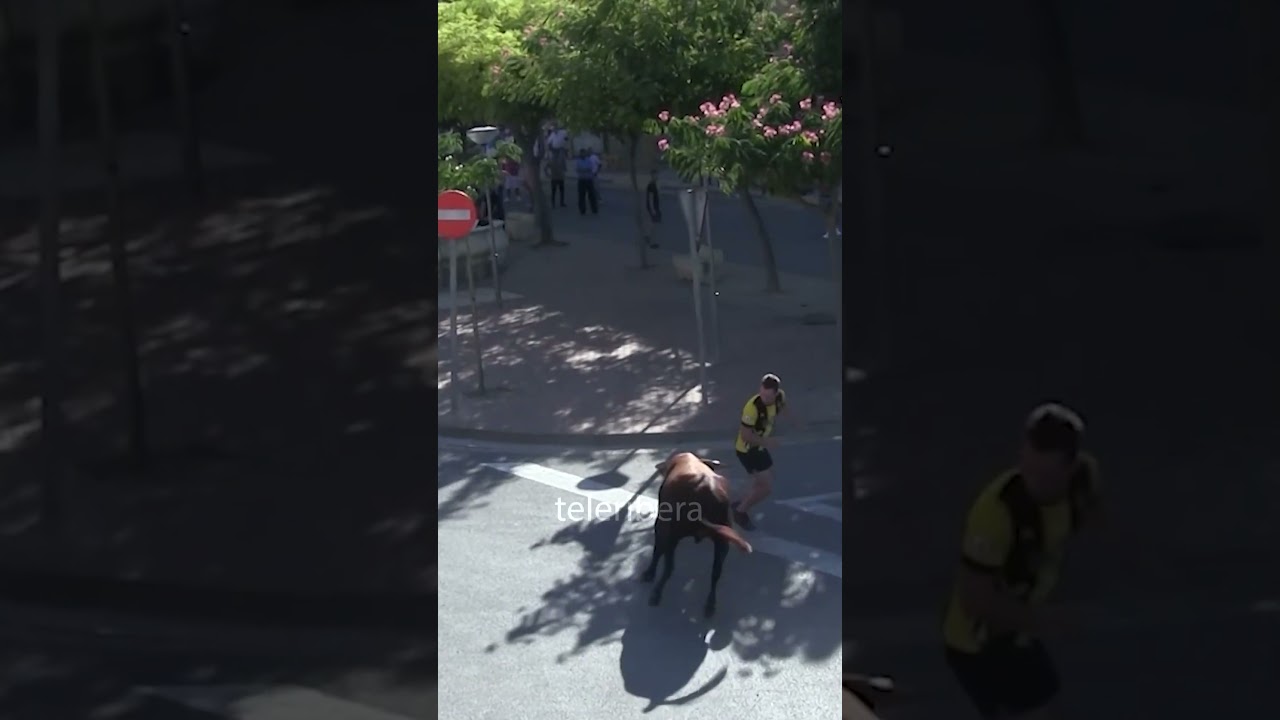 😱 DE LOCOS cara a cara con el TORO!