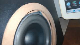 Salt Shaker on my subwoofer (bass test)