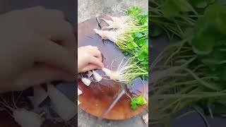 Proses buang daun sayuran dengan gerakan mudah #shorts
