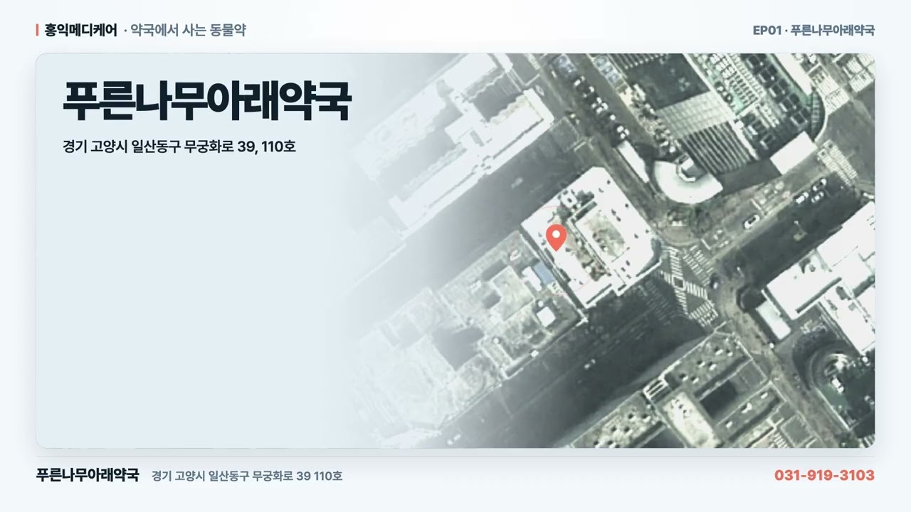 새벽 1시까지 영업하는 일산 동물약국