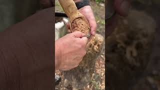 Carving the bowl of a spoon out #youtubehighfive @youtubecreators