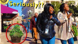 Bushman Prank 2020: Ultimate Best of Video!!