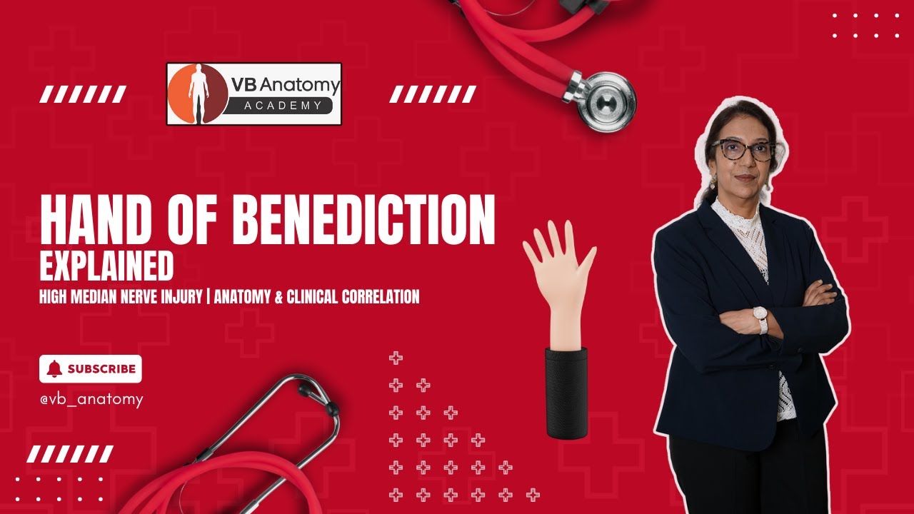 Hand of Benediction Explained | High Median Nerve Injury | Anatomy ...