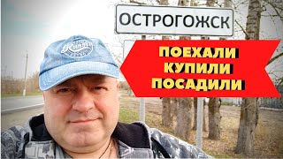 Поездка в Острогожск