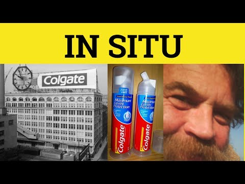 🔵 In Situ - In Situ Meaning - In Situ Examples  - Latin In English - ESL British Pronunciation