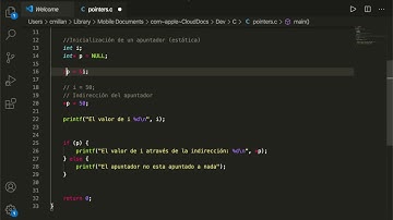 L07.3 - Programación en C - Apuntadores - NULL y void