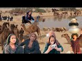 Desert women morning routine  camle milking  village life pakistan