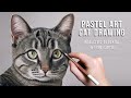 How to Draw a Highly Detailed CAT - Beginners+