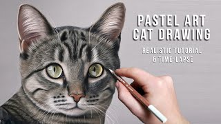 How to Draw a Highly Detailed CAT - Beginners+ by Shaymus Art Tutorials 4,032 views 3 years ago 9 minutes, 4 seconds