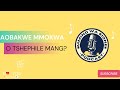 Aobakwe mmokwa   o tshepile mang podcast soundtrack