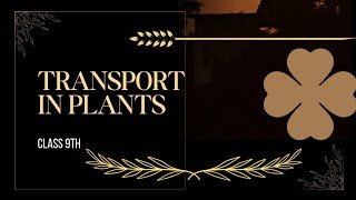 Transport in plants#class 9th biology