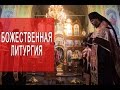 Литургия Крещение и причащение младенцев  Литургия Иоанна Златоуста