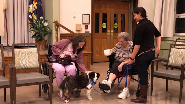 PoYC Therapy Dogs