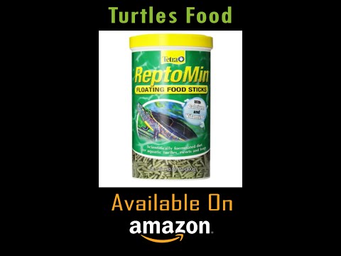 Turtles food - Floating Food Sticks - Scientifically formulated food #Shorts