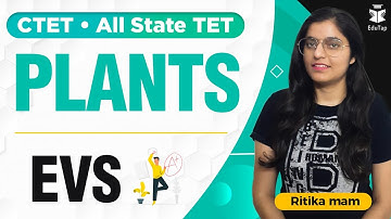 CTET/KVS/DSSSB/ All State TET / AWES | Plants | EVS