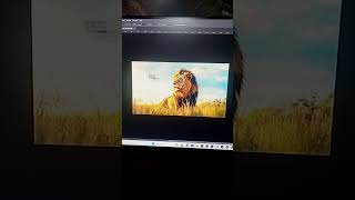 How to use move tool in Photoshop & How to Rectangular selection in Photoshop.