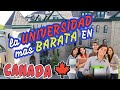 💲💲CUANTO CUESTA ESTUDIAR en La UNIVERSIDAD 📝 mas BARATA 💲💲 en CANADA 🍁#LaUne