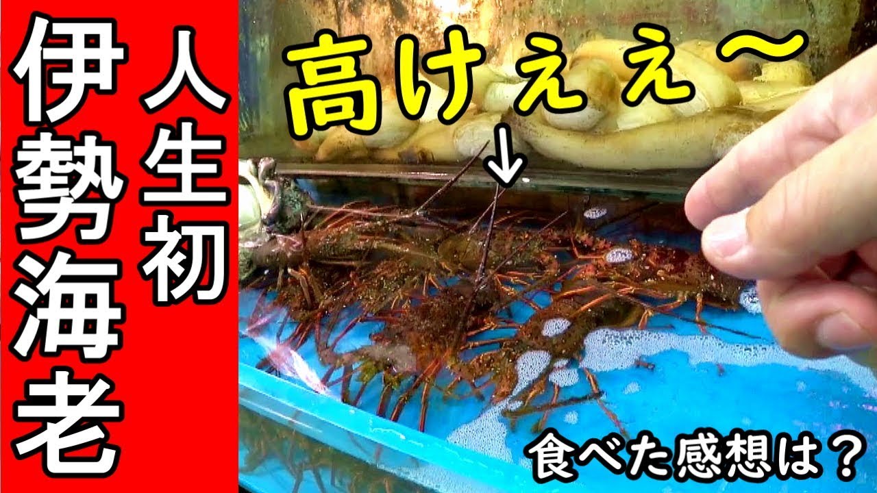 人生初 伊勢海老の刺身 男の反応が面白い Youtube