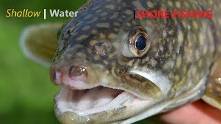 How To Catch Lake Trout from Shore with Tube Jigs 