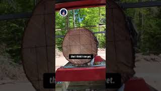 Create Your Ultimate Sawmill Shed Blueprint Create Your Ultimate Sawmill Shed Blueprint