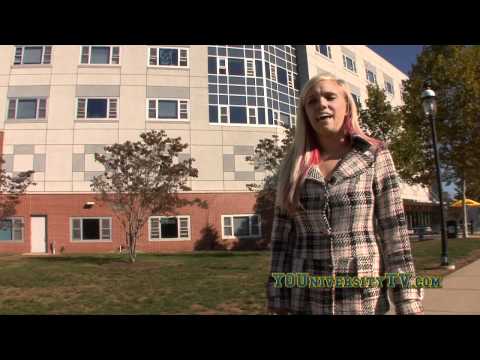 university-of-new-haven-video-tour