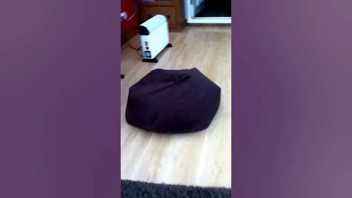 Moving bean bag lol